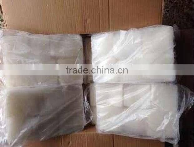 squid fillets of giant squid