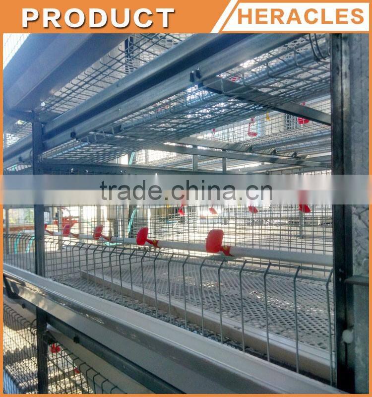 Trade assurance layer egg chicken cage --A type 4 layers chicken cage