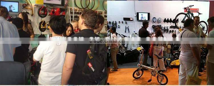 U3 Cost Efficient Two wheel city Self-Balancing cart custom designed for golf for September procurement Festival