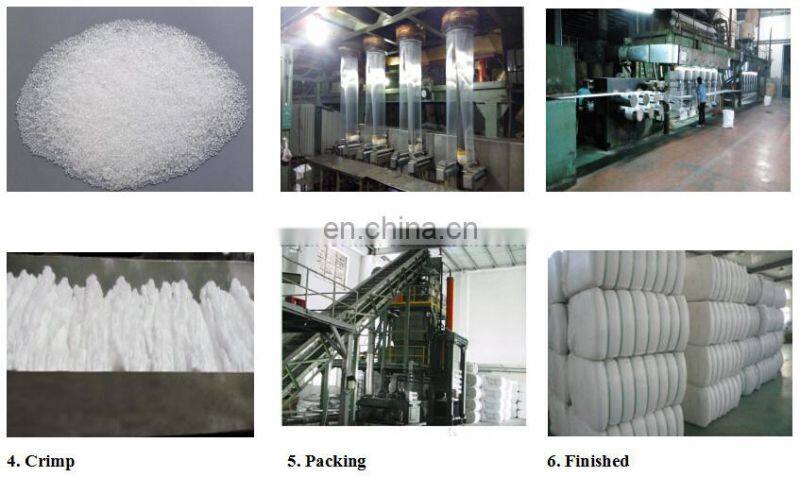 High Tenacity Virgin 6D*72MM PPSF