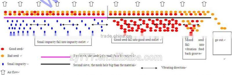 Wheat Seed Gravity Separator Machine