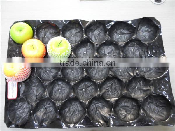 Perforated tomato plastic insert tray