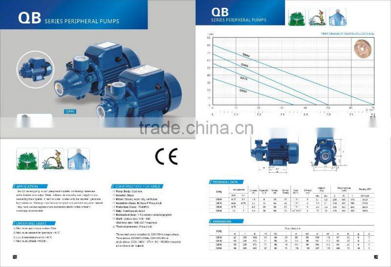 370W/500W 110V/230V 50/60HZ Copper/Aluminum Wire QB60 Peripheral Pump