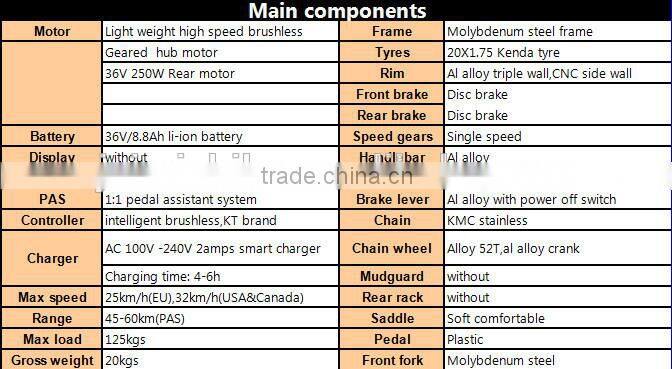 electric Hybrid Bike with CE and EN15194