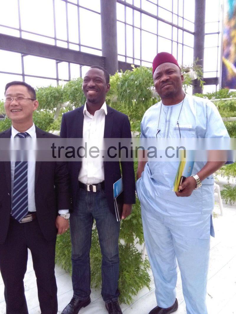 A type tower hydroponics system for greenhouse agriculture