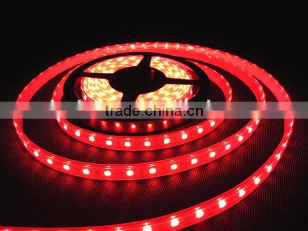 CE/RoHs Waterproof RGB IP67 LED Light Strip 12W/M SMD 5050 Flexible Battery Powered LED Strip Light Wholesale