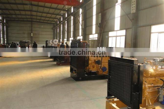 2016 brand new AC three phase output type 100KW international popular silent containerized Diesel generator set