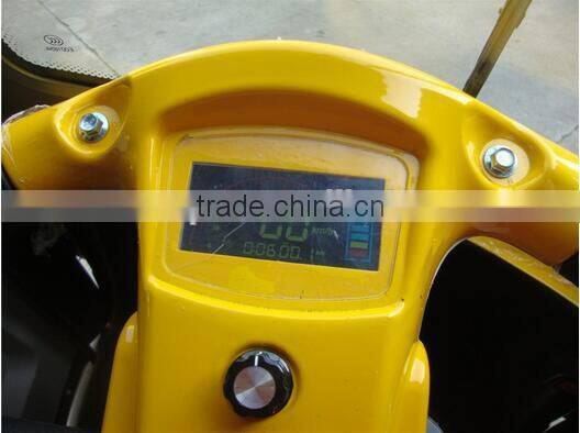 Mini Electric Car with 800W brushless motor