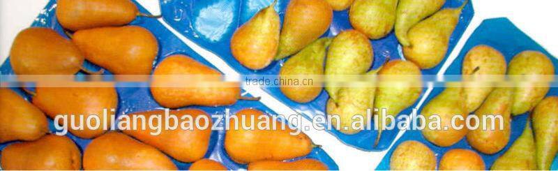 FDA/SGS Food Grade Thermoformed Disposable Food Packaging Trays