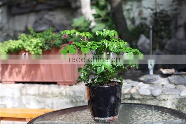 high quality various color garden pots for sale planting pots cheap plant pot