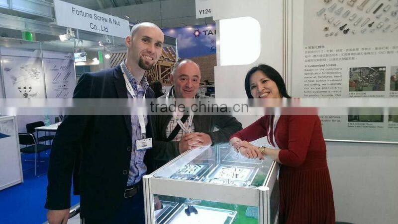 Professional Manufacturer Wood Building Screw