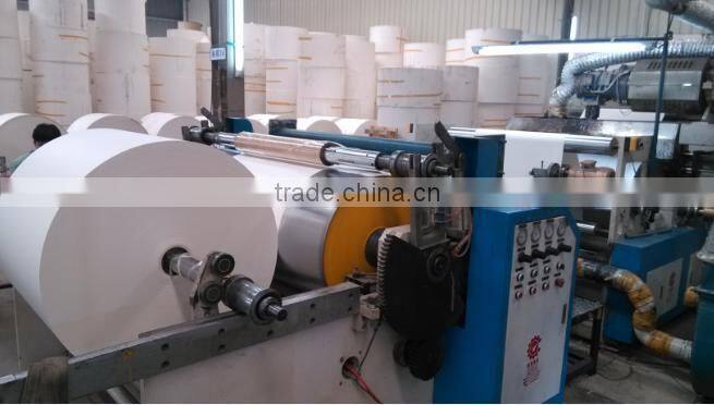 china food grade pe coated paper
