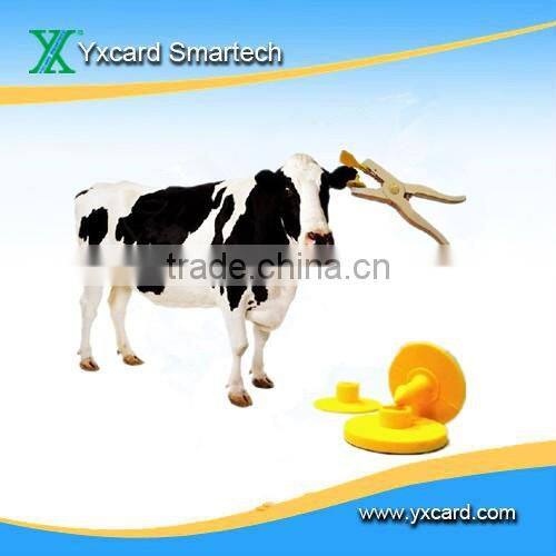 RFID Animal Ear Tag For Cattle Managment