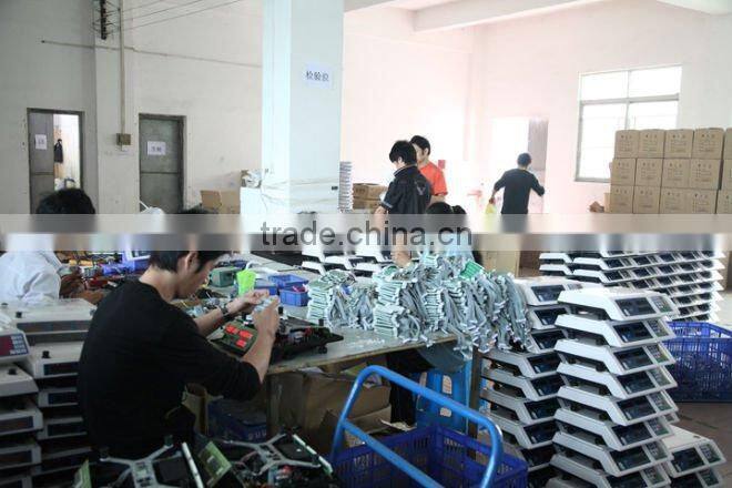 TGT 1000KG Machanical Platform Scale / 500kg weighing mechanical floor scalle