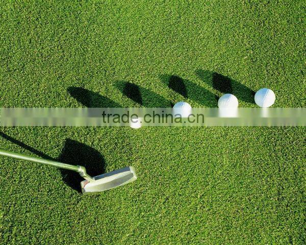 new arrival golf shoes models, sport goods