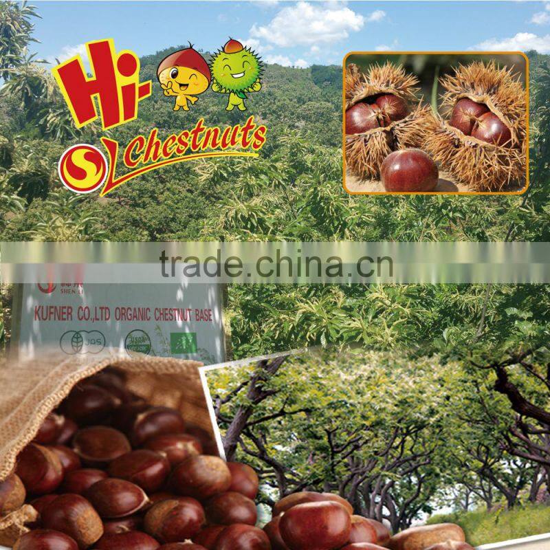 Roasted peeled dried chestnuts for sale