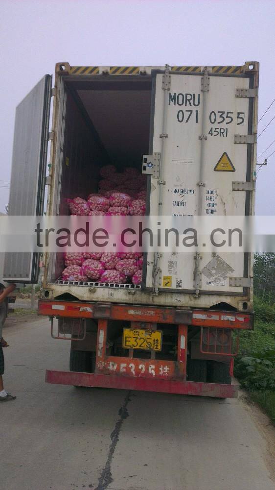 Fresh Garlic natural