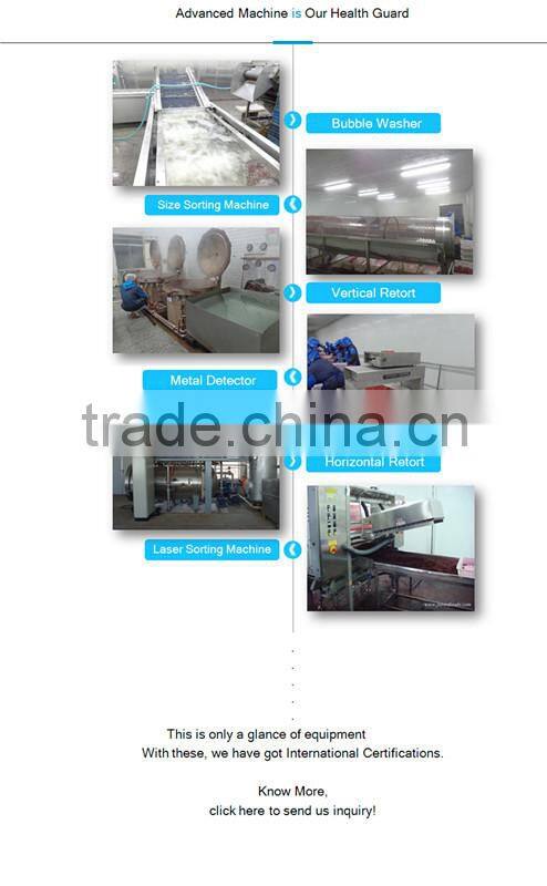 Price For IQF Frozen Strawberry M13, Honey