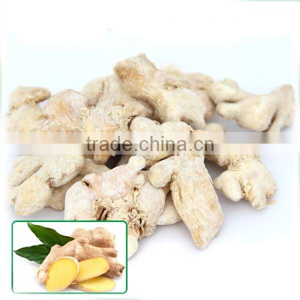 Wholesales freeze dried instant honey garlic export tea company