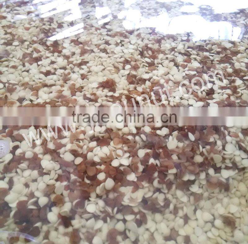 Debittered Apricot Kernel for sale