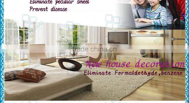 2013 newest 3g ceramic portable ozonator for air purifier