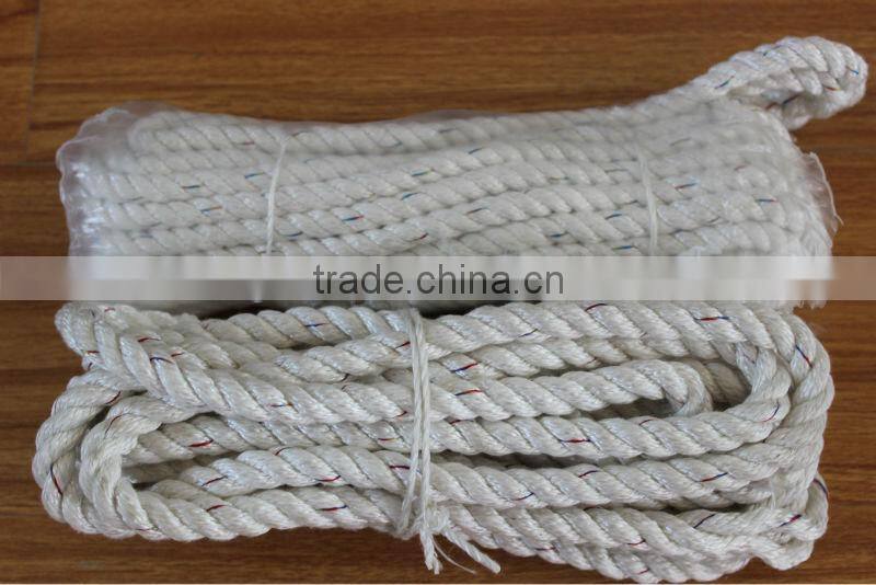 High-strength polyester rope with loop