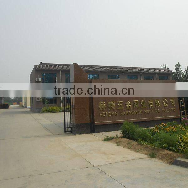 8/6/8mm Double Wire Fence(professional manufacturer)