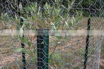 Gabion Box/Wire Mesh