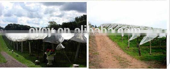 Chile plastic protection rain cover for orchard tree / woven cover cherry from rain
