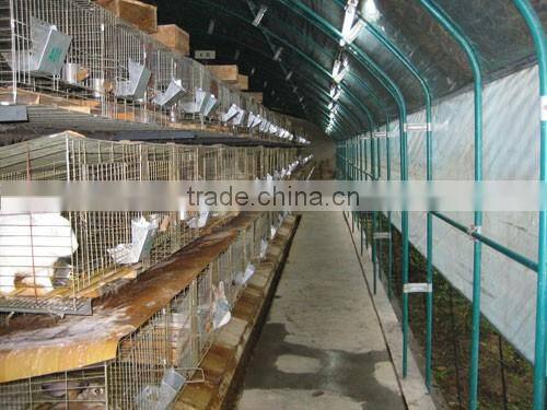Low cost tunnel greenhouse for poultry farming equipment