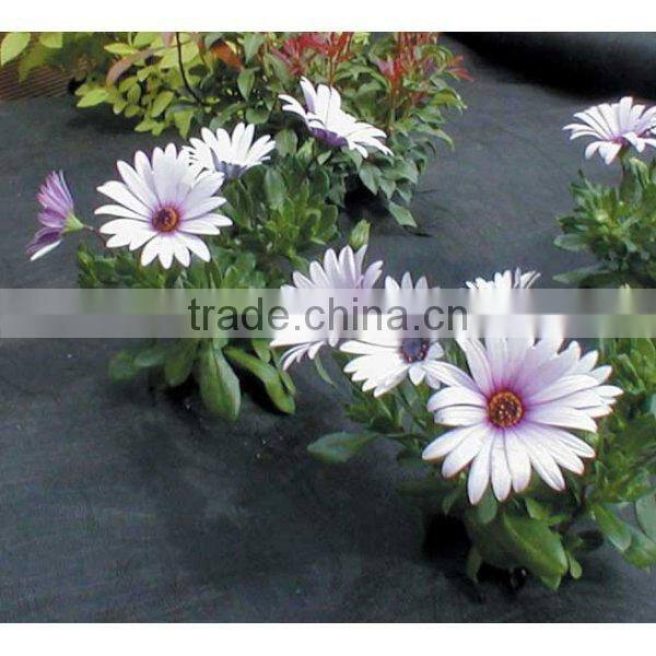 Flat Weed Control Membrane,Weed Control Landscape Fabric Sheet Membrane