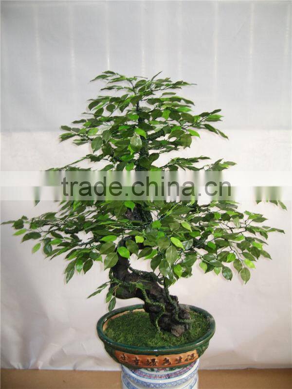 1.2 m tall artificial banyan bonsai flower / tree ( plant bonsai flower RP002 / tree of DESTE )