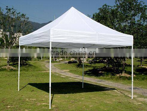 Hot Selling Canopy Tent BY1001