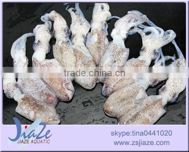 zhoushan seafood suppliers frozen baby squid