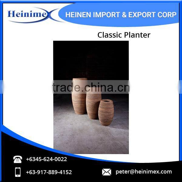 Natural Classic Planter for Bulk Buyers