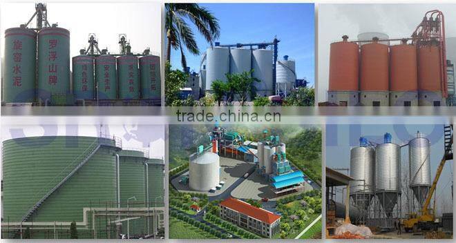 SRON Brand Small Fly Ash Silo for Sale Used for Electrical Power Station