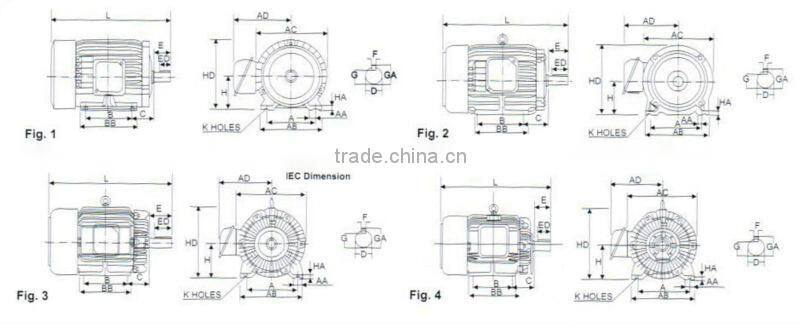 AEEF Three Phase Induction Motor