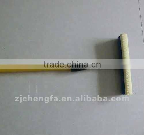 telescopic pole matching with window squeegee