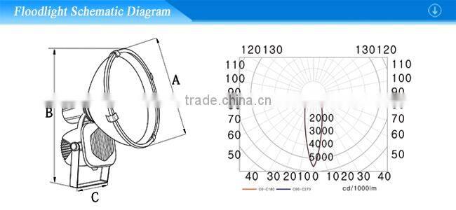 CE/Roha approved MH/HPS flood light