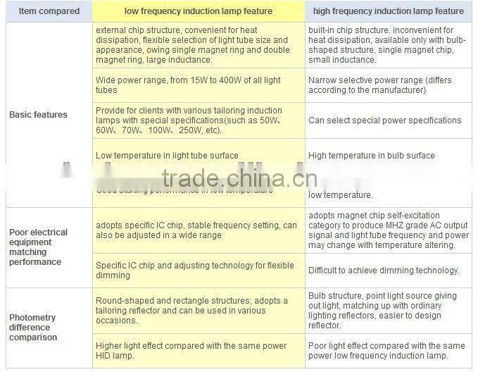 40w-80w induction courtyard lamp