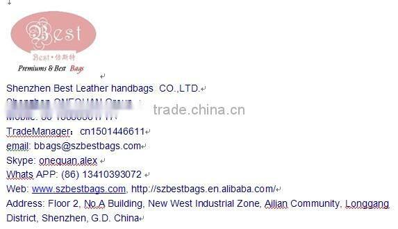 Canvas pet travel shopping bag