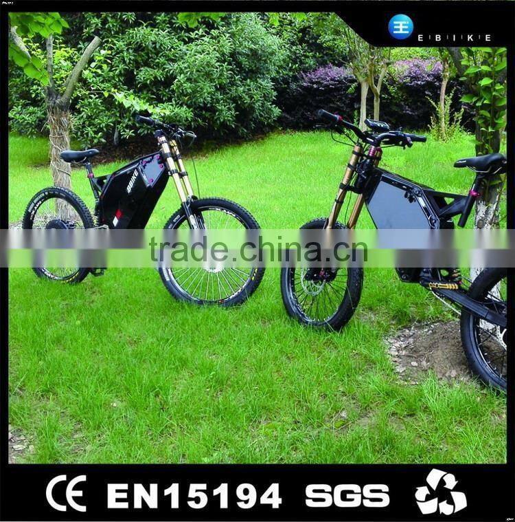 Perfect design professional popular road electric bikes