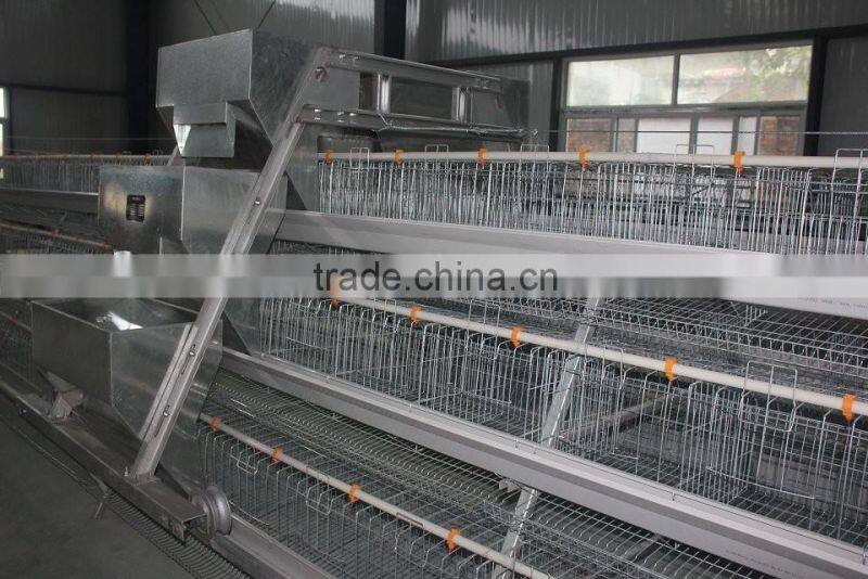 automatic chicken cage feeder