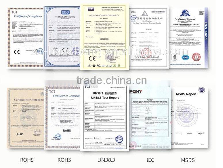 Portable Lithium Battery 48V 25AH Electric Bicycle 48V Lithium Battery with Samsung Cell