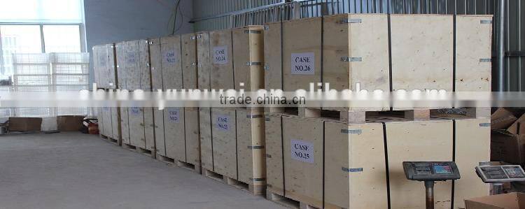 China Stainless Steel Camlock Coupling