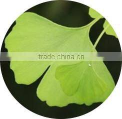 Natural fast slimming tea easy slim tea benefit slimming tea green tea fat burner