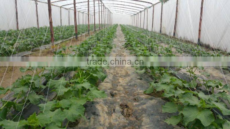 high quality HDPE knotted plant climbing BOP net/trellis knotted BOP plant support net