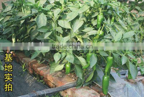 PE lay flat irrigation hose