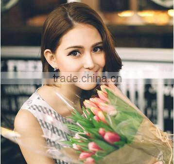 GTO high quality home use 540 needles skin care micro needle roller