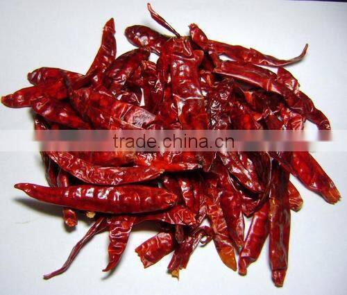 BEST QUALITY RED CHILI EXPORTER